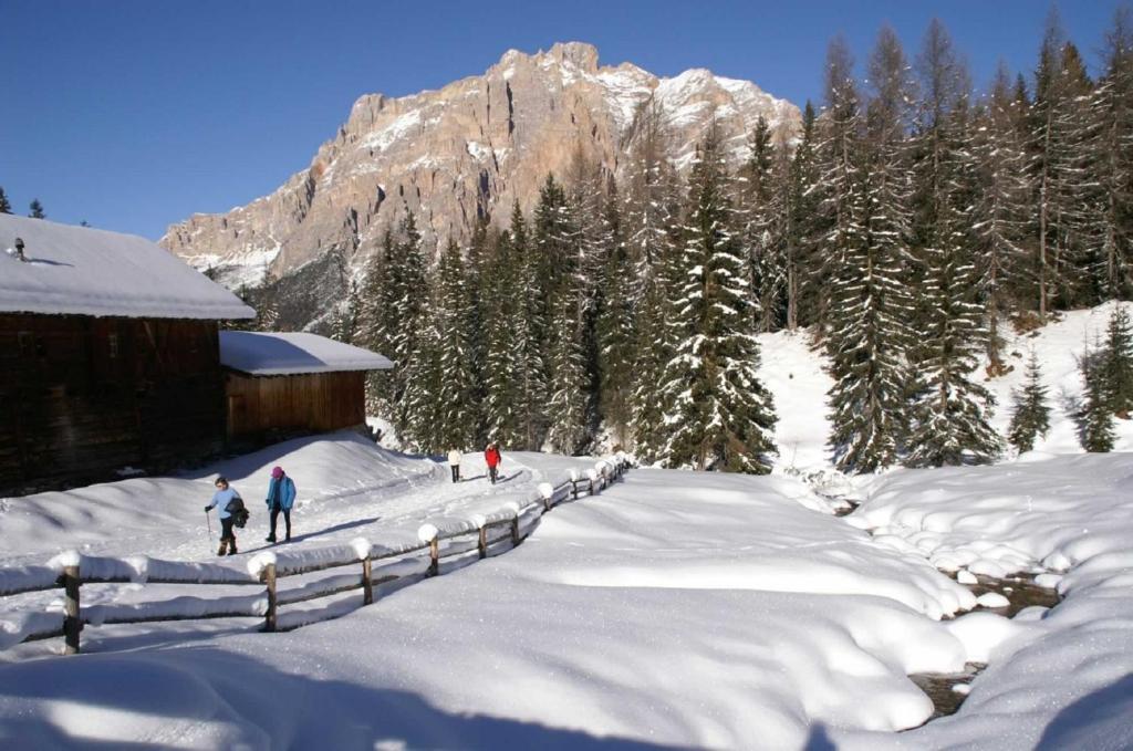Monti Pallidi B&B Apartments Corvara In Badia Bagian luar foto